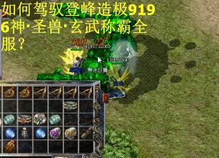如何驾驭登峰造极9196神·圣兽·玄武称霸全服？